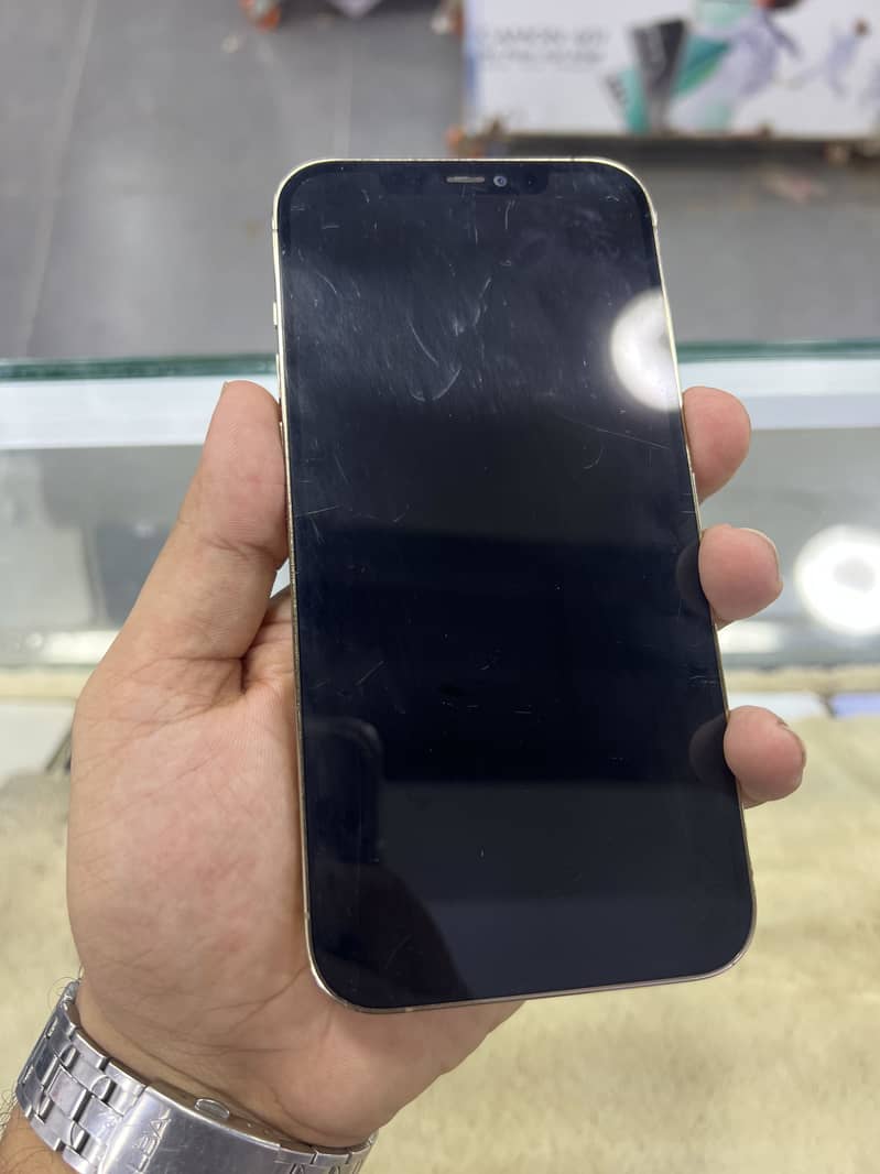 Apple iPhone 12 Pro Max 1