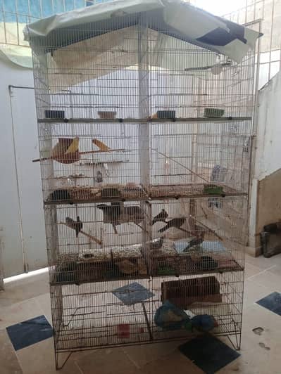 2 cages for sale