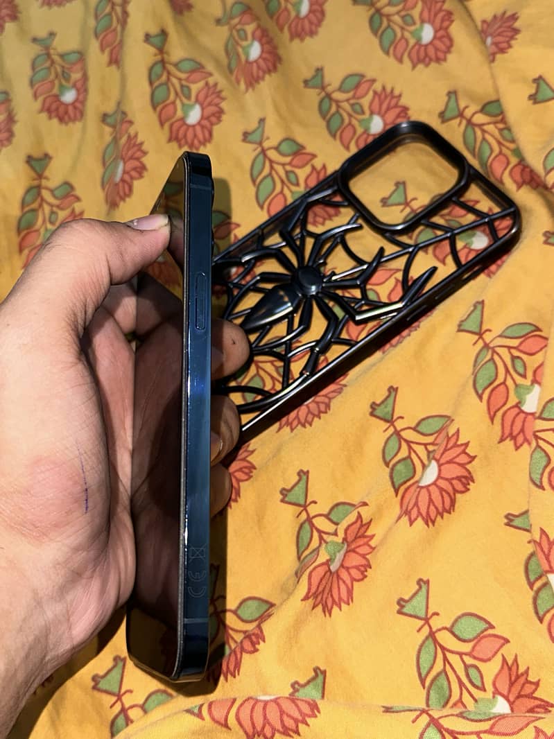 Apple iPhone 12 Pro Max 2