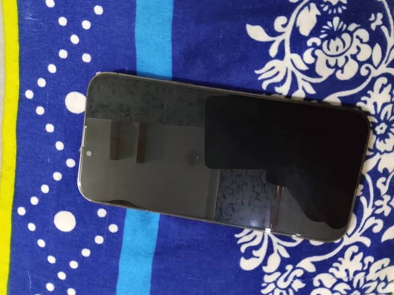 Apple iPhone 13 Pro Max 2