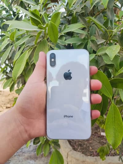 Apple iPhone X