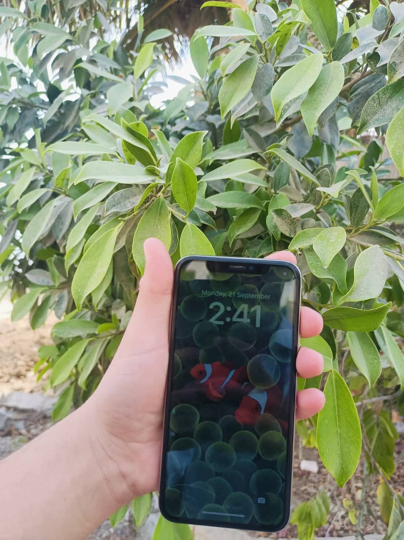 Apple iPhone X 1