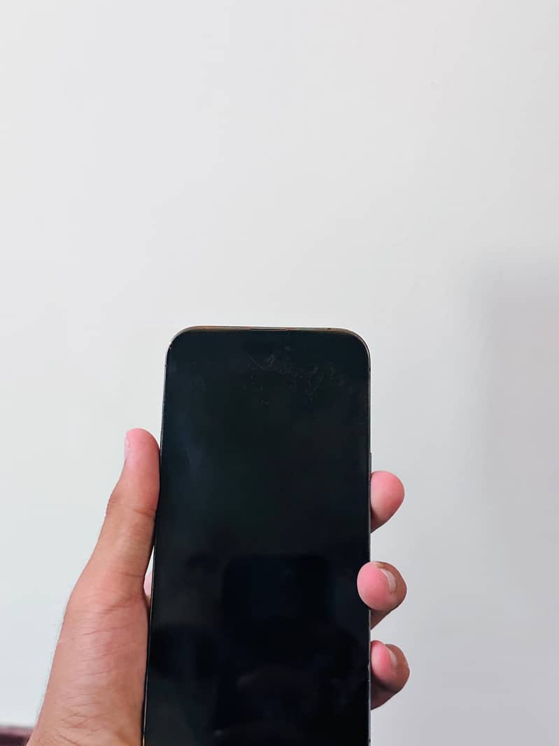 Apple iPhone 14 Pro Max 1