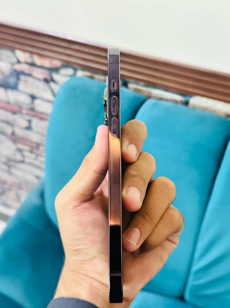Apple iPhone 14 Pro Max 5