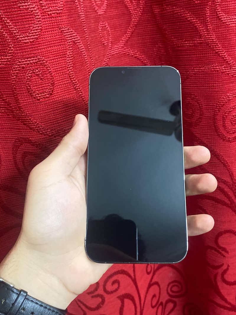 Apple iPhone 13 Pro Max 1