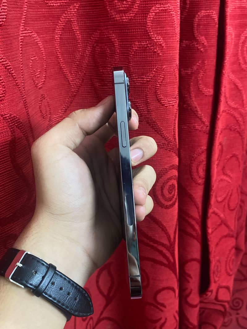 Apple iPhone 13 Pro Max 2