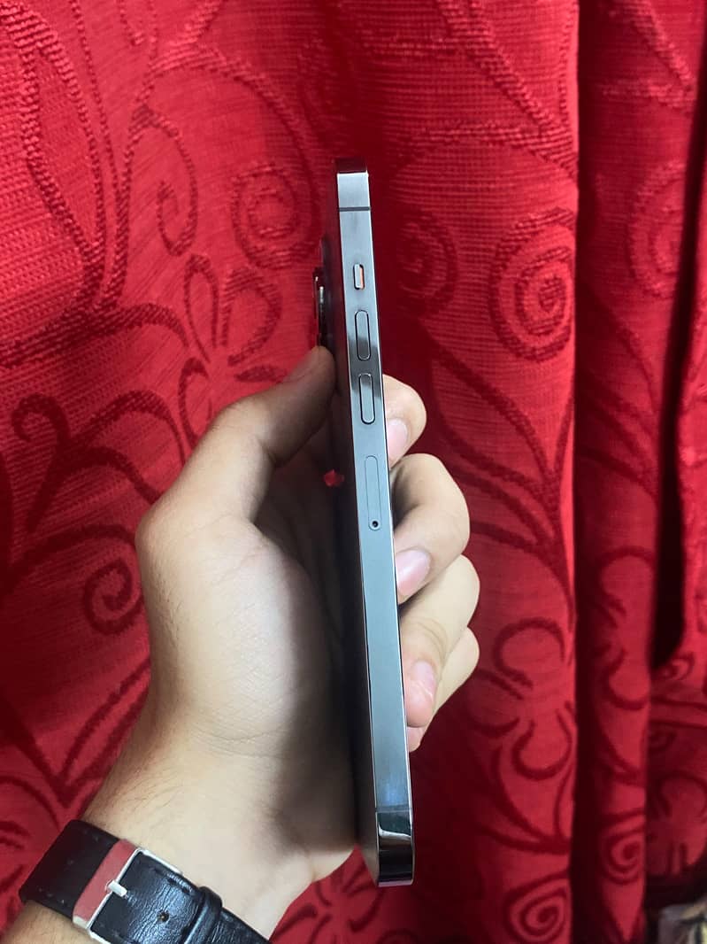 Apple iPhone 13 Pro Max 3