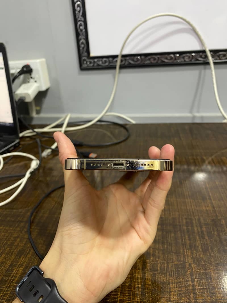 Apple iPhone 13 Pro Max 1