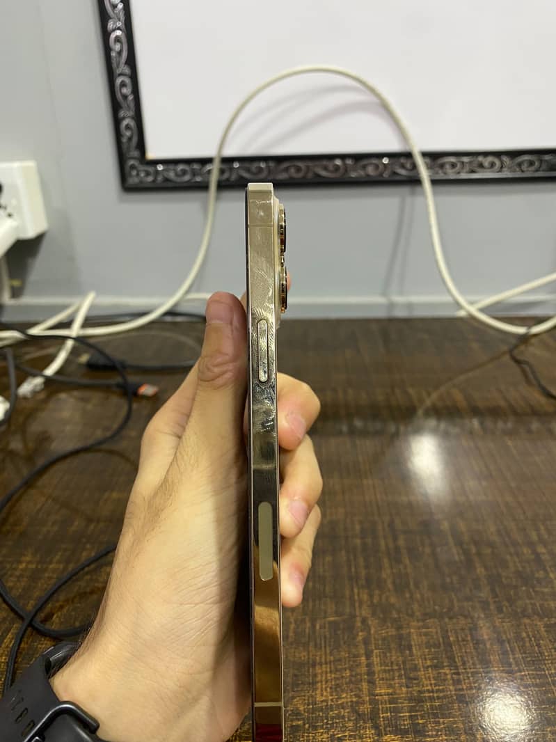 Apple iPhone 13 Pro Max 3