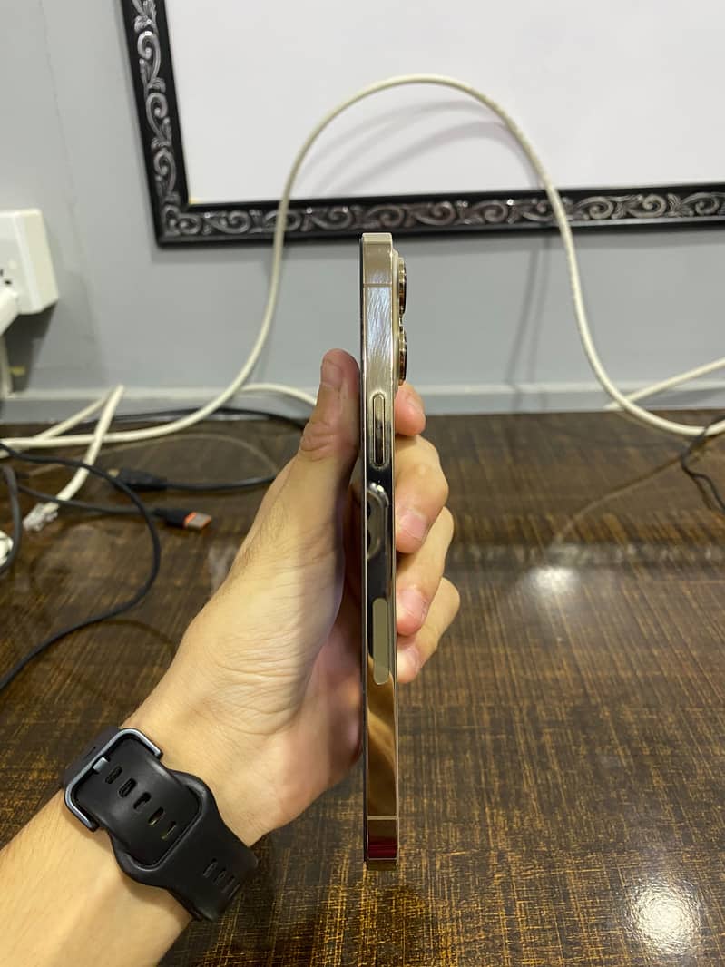 Apple iPhone 13 Pro Max 4