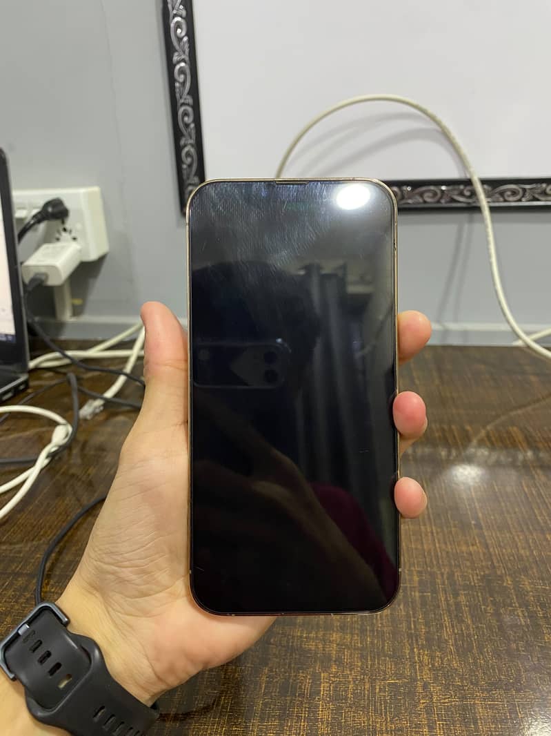 Apple iPhone 13 Pro Max 6