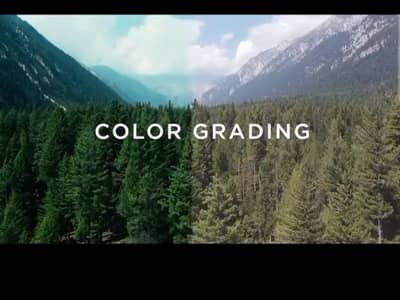 professional video editor