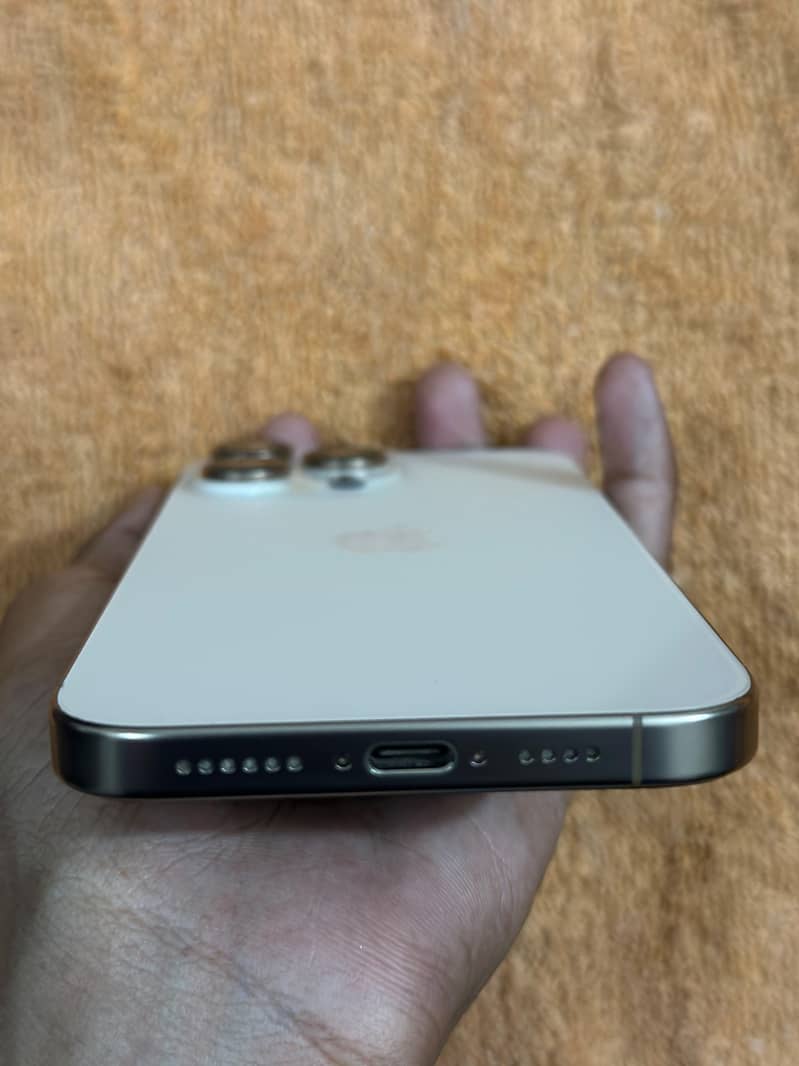 Apple iPhone 16 Pro Max 1