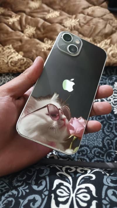 Apple iPhone 13 by pass