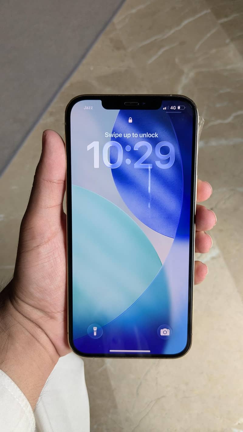 Apple iPhone 12 Pro Max 1