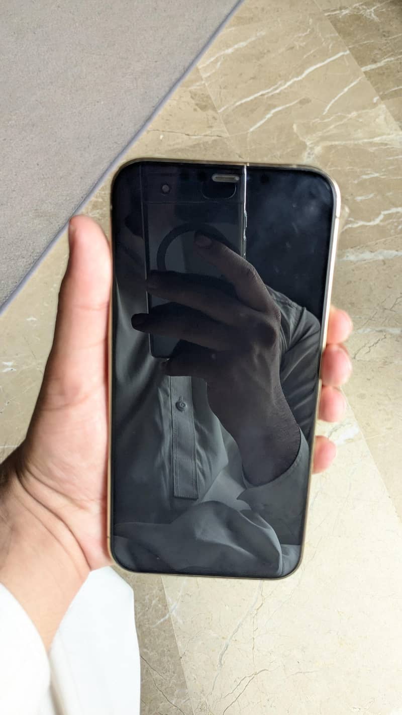 Apple iPhone 12 Pro Max 2