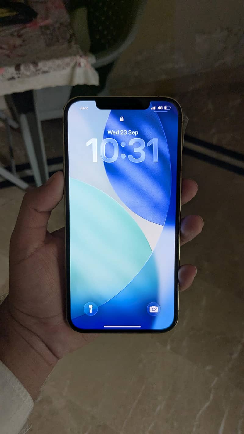 Apple iPhone 12 Pro Max 7