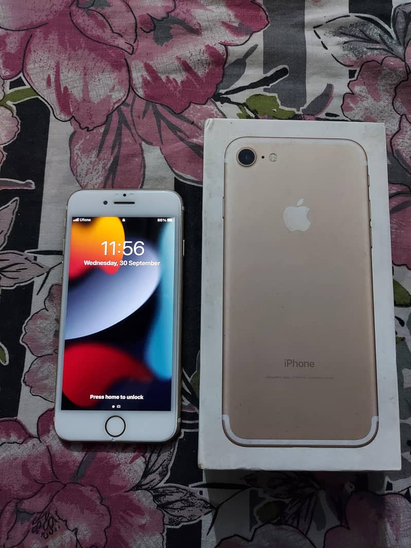 Apple iPhone 7 1