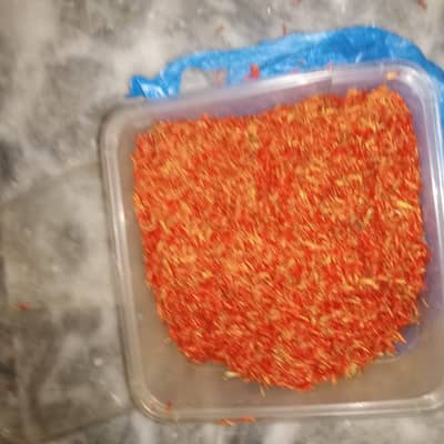original zafran kashmire