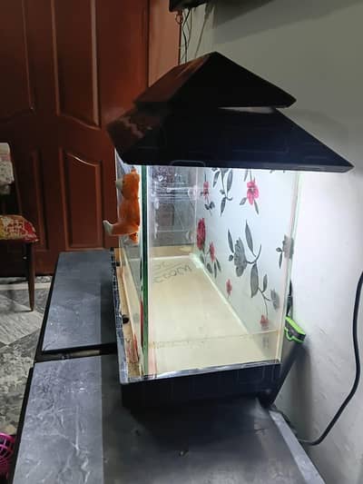 urgent 4 sale aquarium