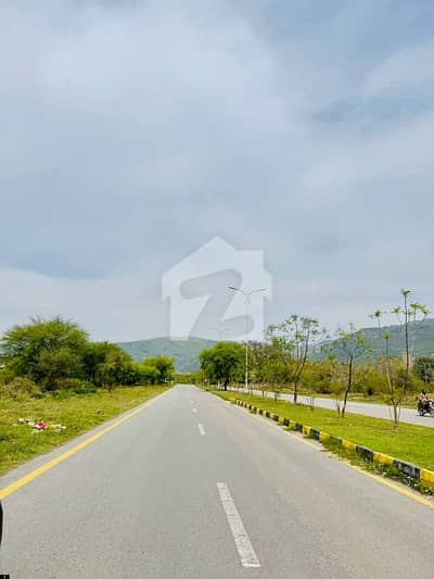 A 3200 Square Feet Residential Plot Is Up For Grabs In D-12