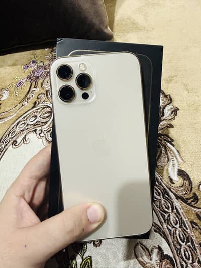 iPhone 12 Pro Max approved
