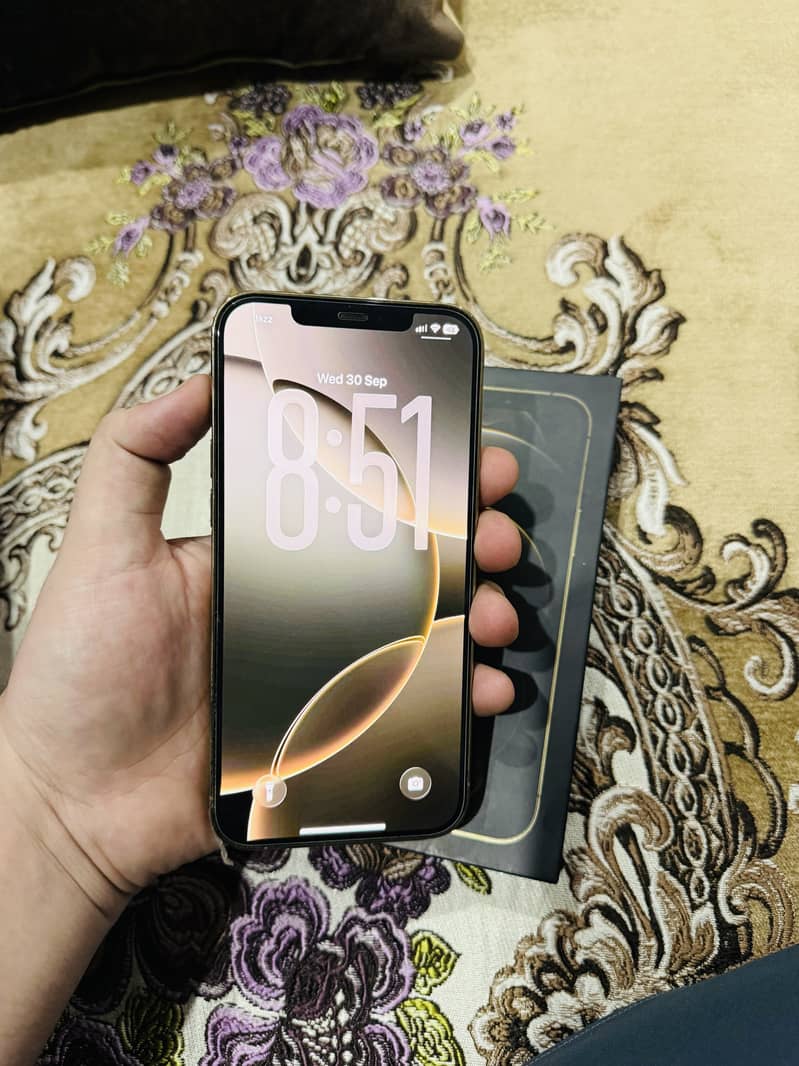 iPhone 12 Pro Max approved 3