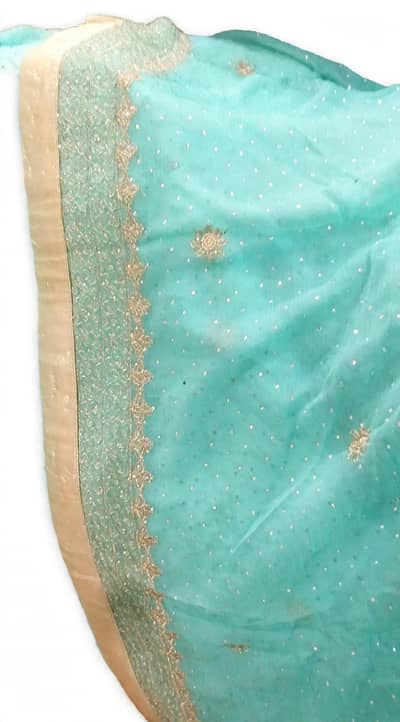 Red ND sea green bridal frock fancy size medium