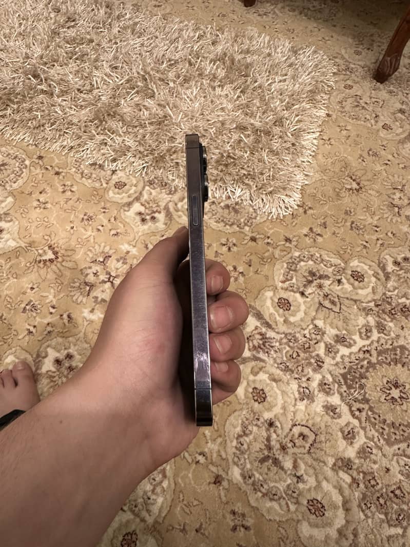 Apple iPhone 14 Pro Max 1
