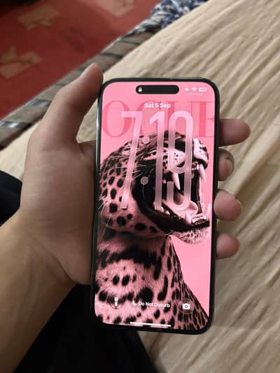 Apple iPhone 14 Pro Max