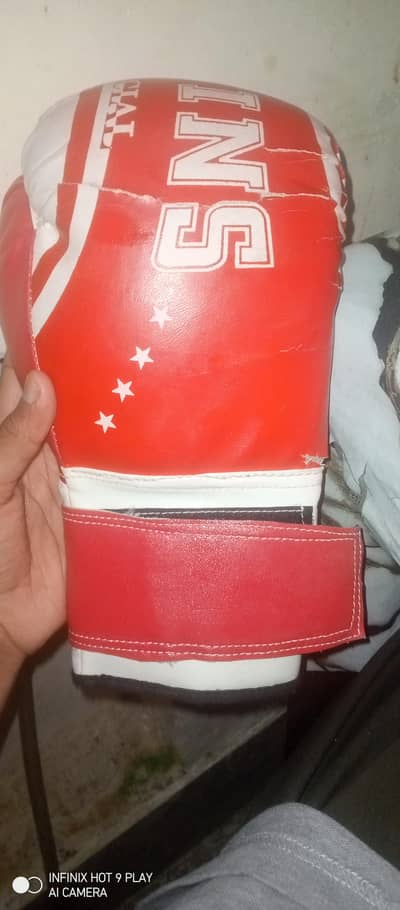 Twins special boxing gloves