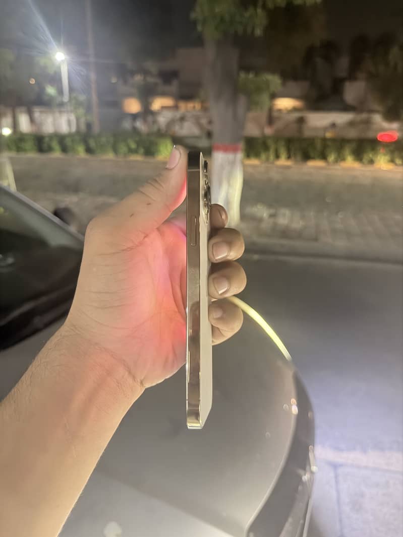 Apple iPhone 13 Pro Max 1