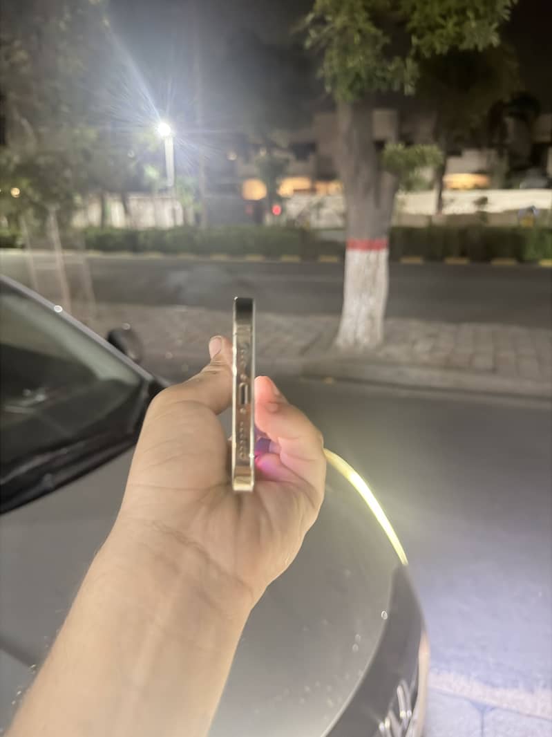 Apple iPhone 13 Pro Max 2
