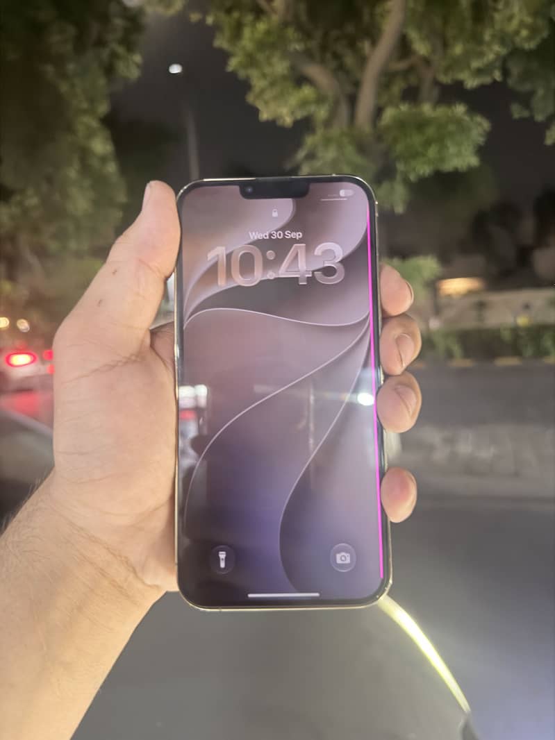 Apple iPhone 13 Pro Max 3
