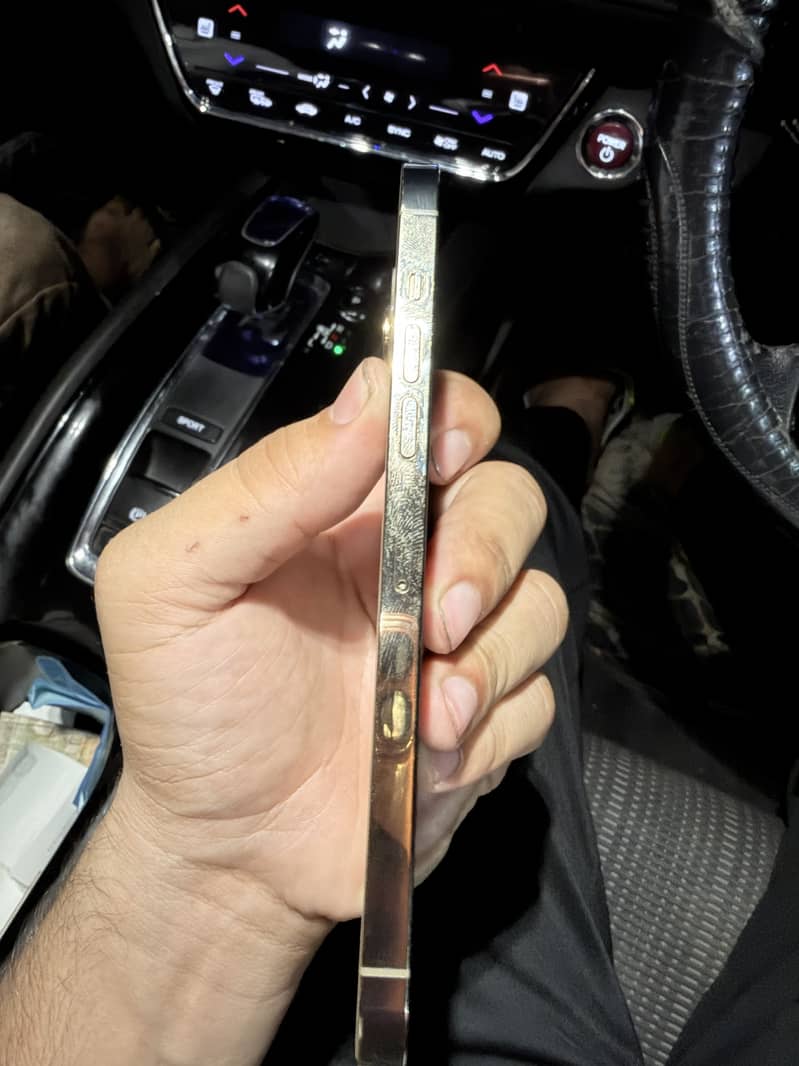Apple iPhone 13 Pro Max 12