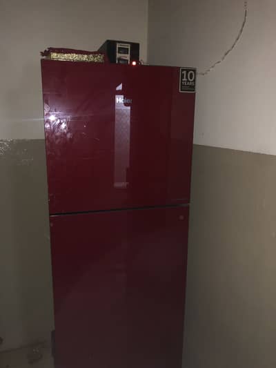 All original hair company freezer fresh piece medium size