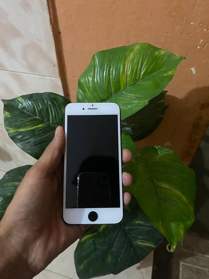 Apple iPhone 7 1