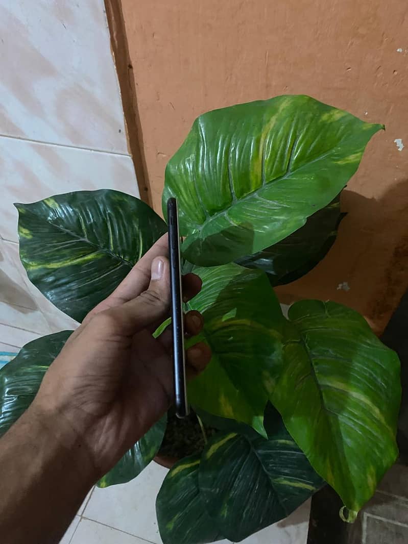 Apple iPhone 7 2