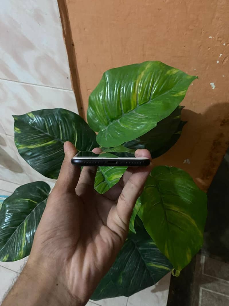 Apple iPhone 7 3