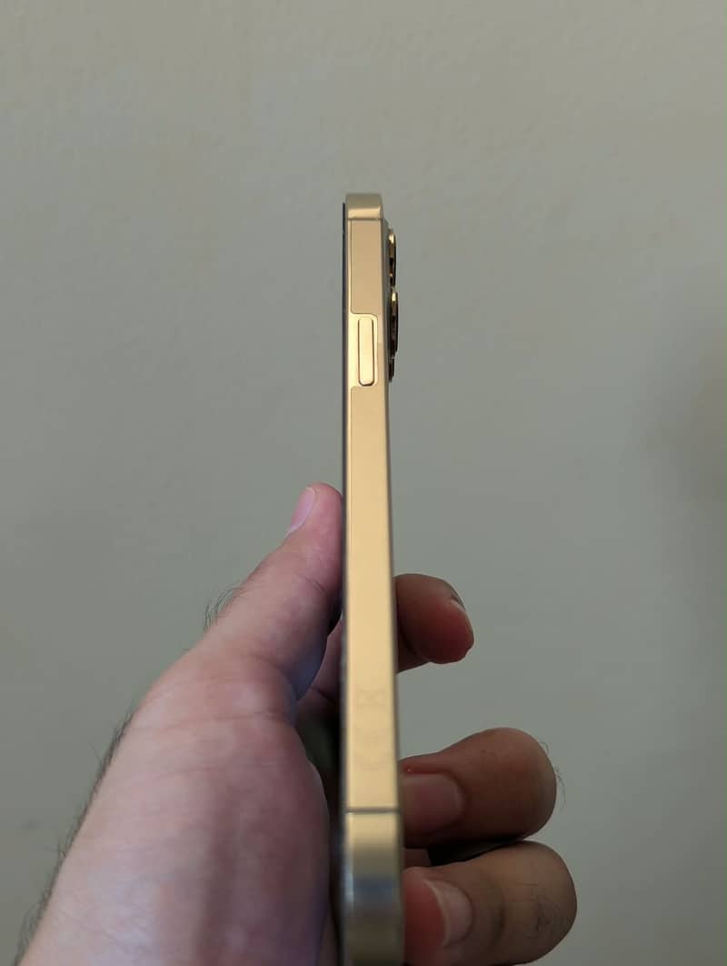 Apple iPhone 12 Pro Max 2