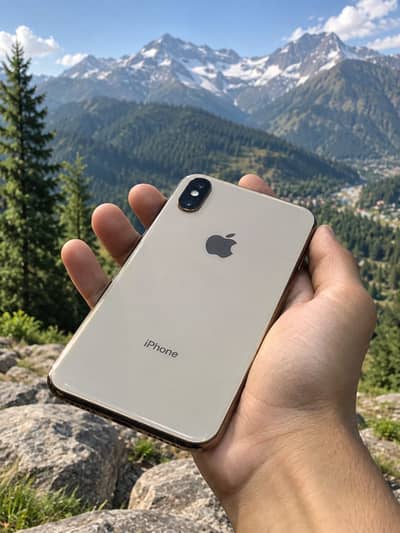 Apple iPhone XS.  256gb