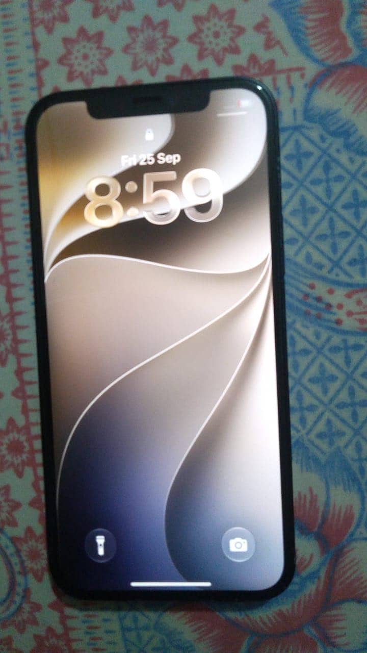 Apple iPhone 12 1