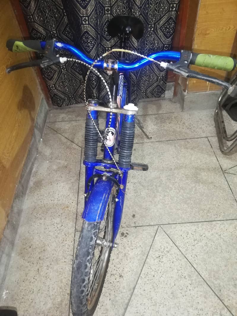 phonix cycle 1