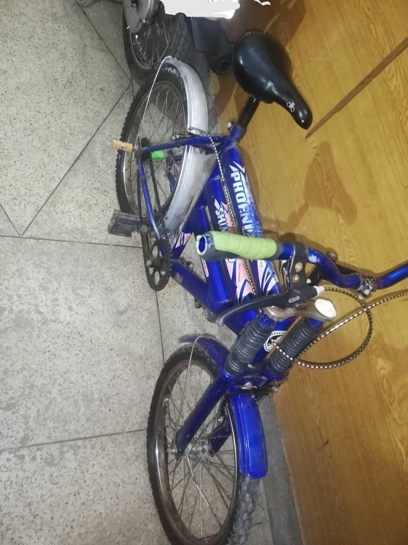 phonix cycle 3