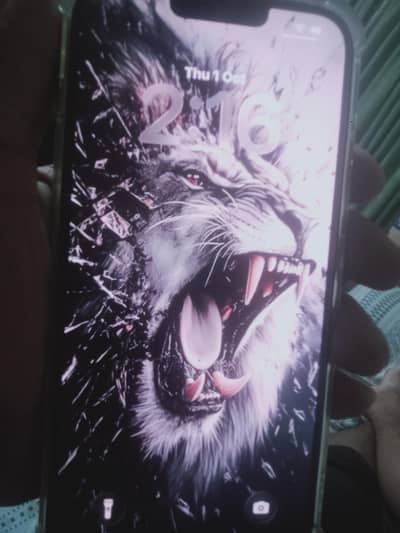 Apple iPhone 13 Pro Max