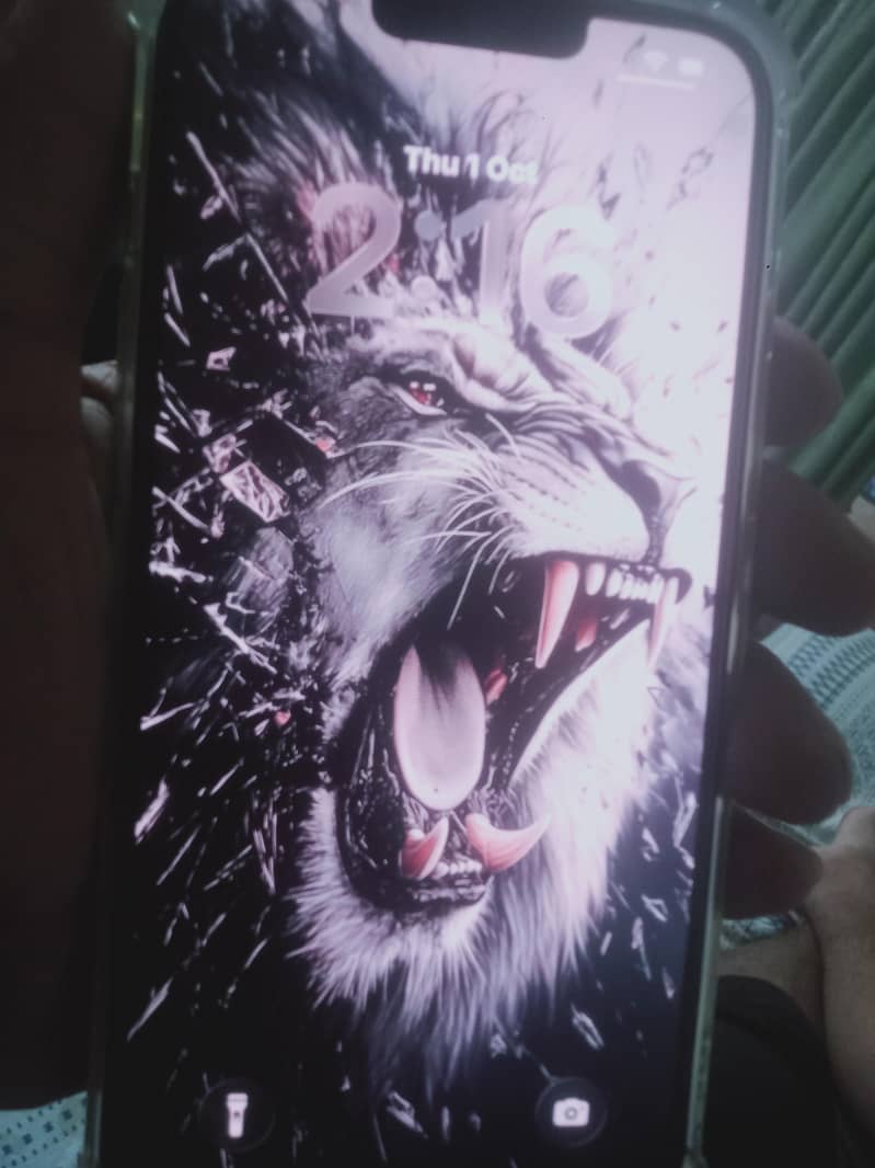 Apple iPhone 13 Pro Max 0