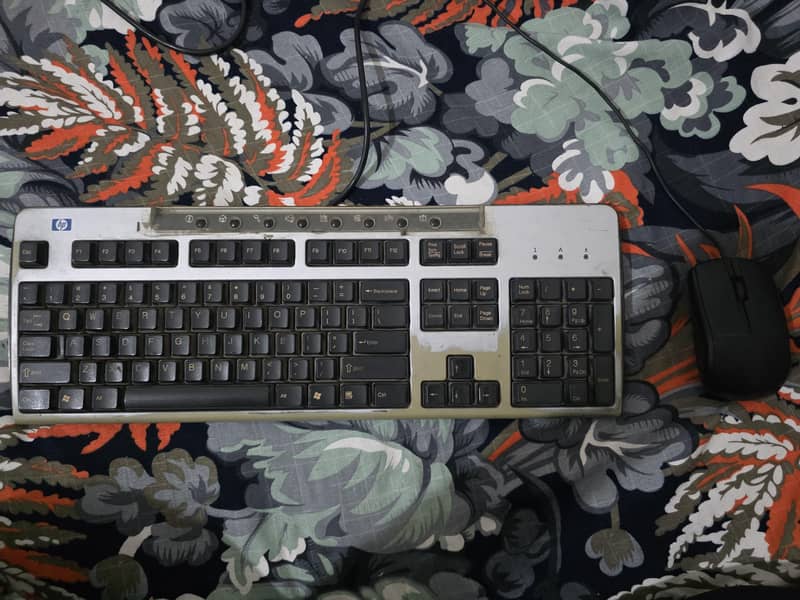 Keyboard and Mouse 1