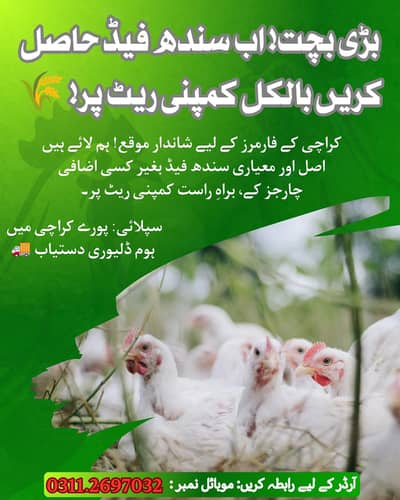 sindh feed