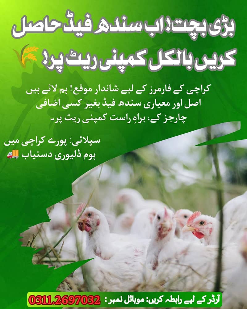 sindh feed 0