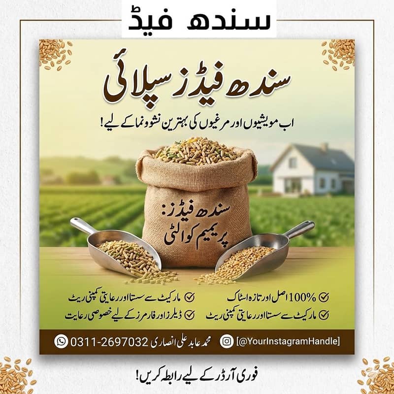 sindh feed 1